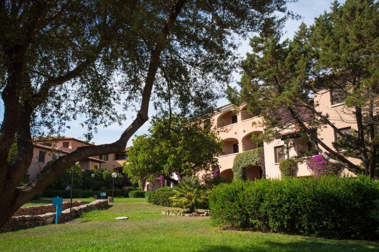 Bouganville Porto Rotondo