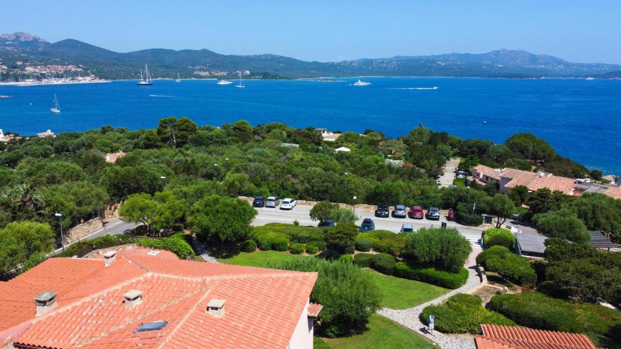 Bouganville