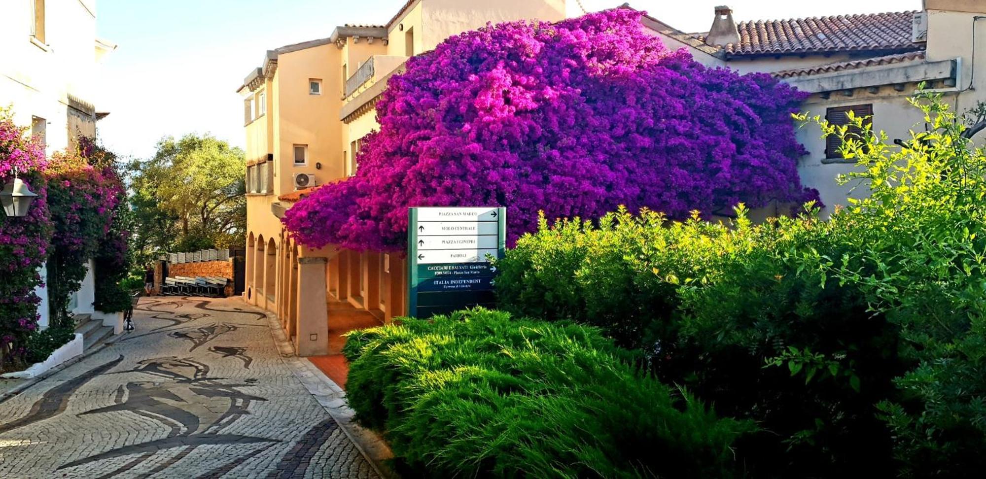 Aparthotel Bouganville Porto Rotondo