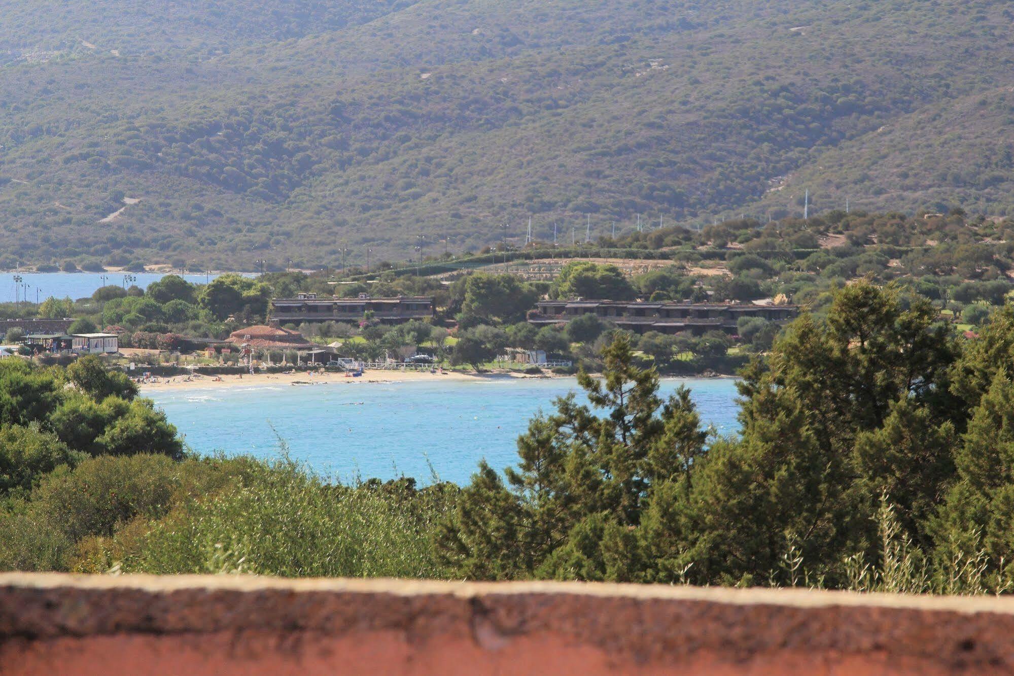 Bouganville 3*